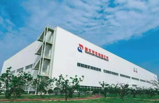 產能過剩與戰略收縮 神龍關廠裁員，PSA在華萌生退意